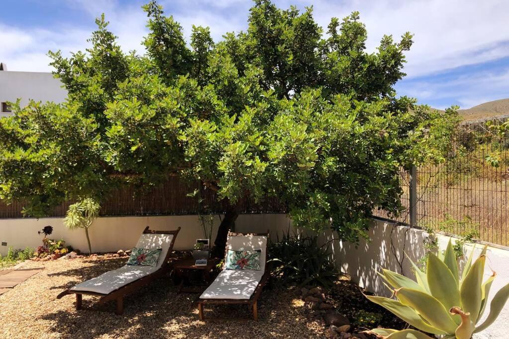 Casa Granado En Cabo De Gata Villa Rodalquilar Eksteriør billede