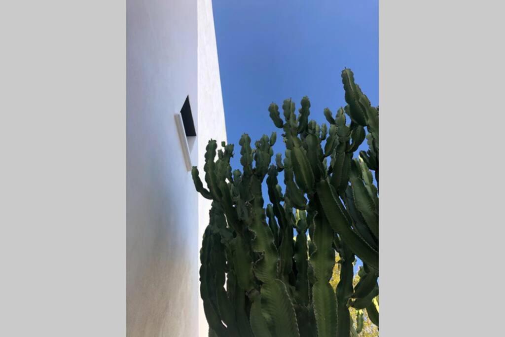 Casa Granado En Cabo De Gata Villa Rodalquilar Eksteriør billede